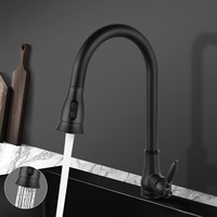 ACA Bathroom Brass Vintage Pull Out Kitchen Mixer Tap Shower Spout Matt Black