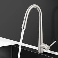 ACA 360 degree Swivel Pull Out Kitchen Mixer Tap Brushed Nickel Brass Body Lead Free