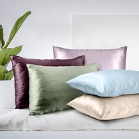 Royal Comfort Mulberry Soft Silk Luxurious Hypoallergenic Pillowcase Twin Pack