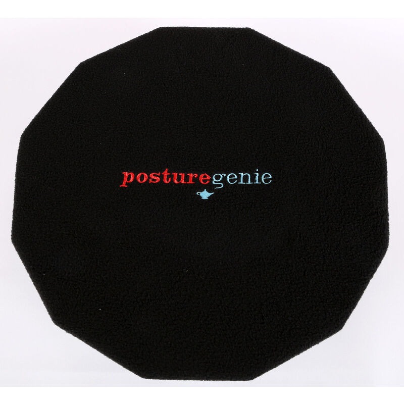 Buy Posture Genie Adjustable Car Vehicle Seat Support Cushion For Back