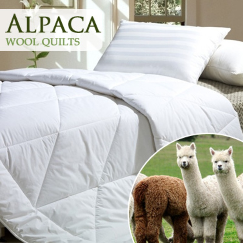 3 Sizes Pure Alpaca & Wool Blend Quilt White 500GSM Buy Wool Quilts