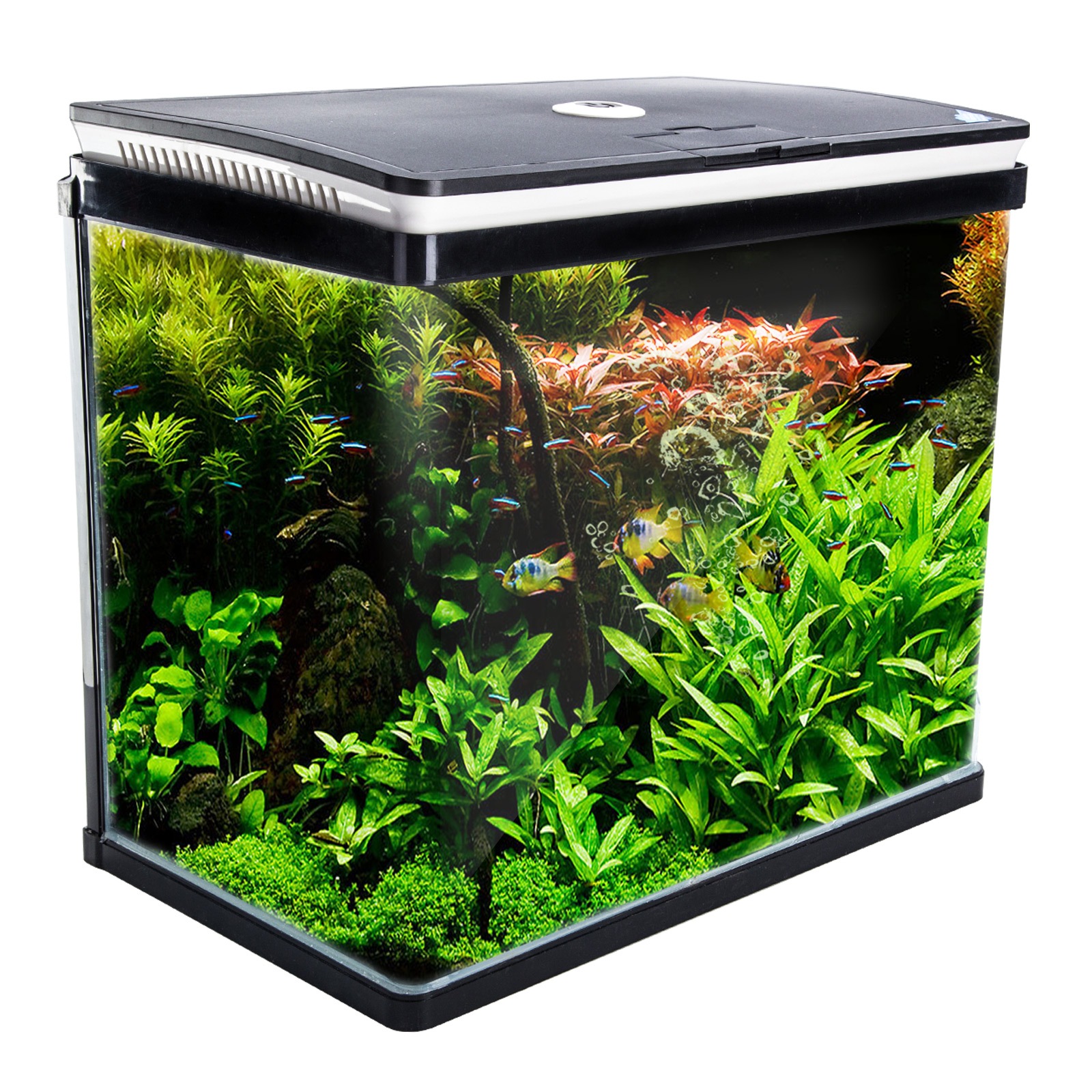 Aquarium products online Clearance