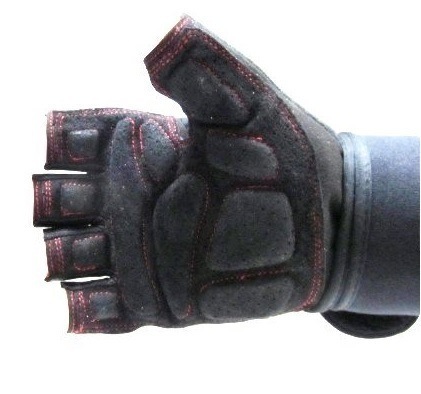 Image 15