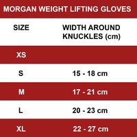 MORGAN Elite Weight Lifting & Cross Trainning Gloves