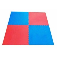 MORGAN Tatami Jigsaw Interlocking Gym Floor Mats 2cm / 1 piece only