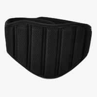 MORGAN V2 Endurance Weight Gym Weightlifting Belt