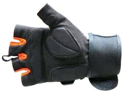 Image 6