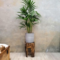 [MANGO TREES] "Adam" Wooden Stool/Plant Stand/Side Table 30cm