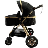 Trendy Gold Black Aluminium Alloy 2in1 Baby Pram Baby Stroller Jogger Push chair