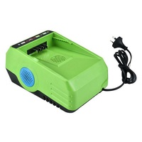 Neovolta 60V LITHIUM-ION Rechargeable Battery Charger Fast Charging