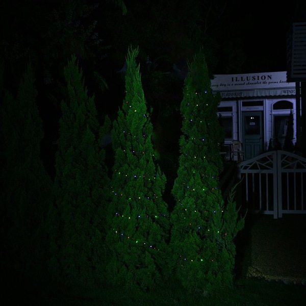 Image 6