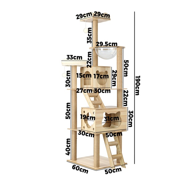 Image 9