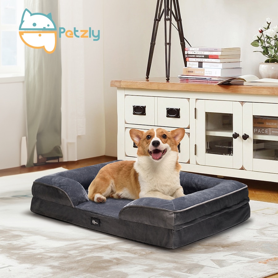 Petzly Dog Bed with Sides Egg-Crate Foam Removable Washable Cover Grey Medium