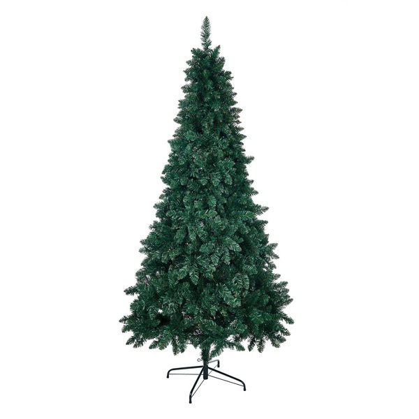 Image 7