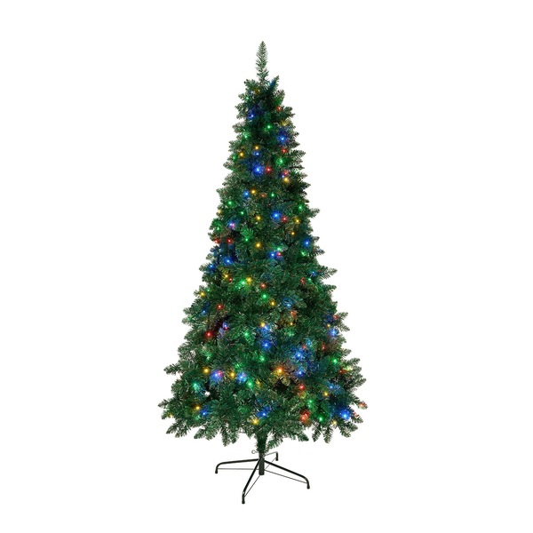 Image 10