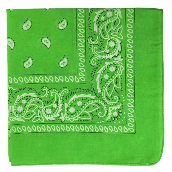 Image 7