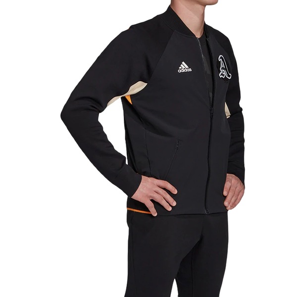 Image 4