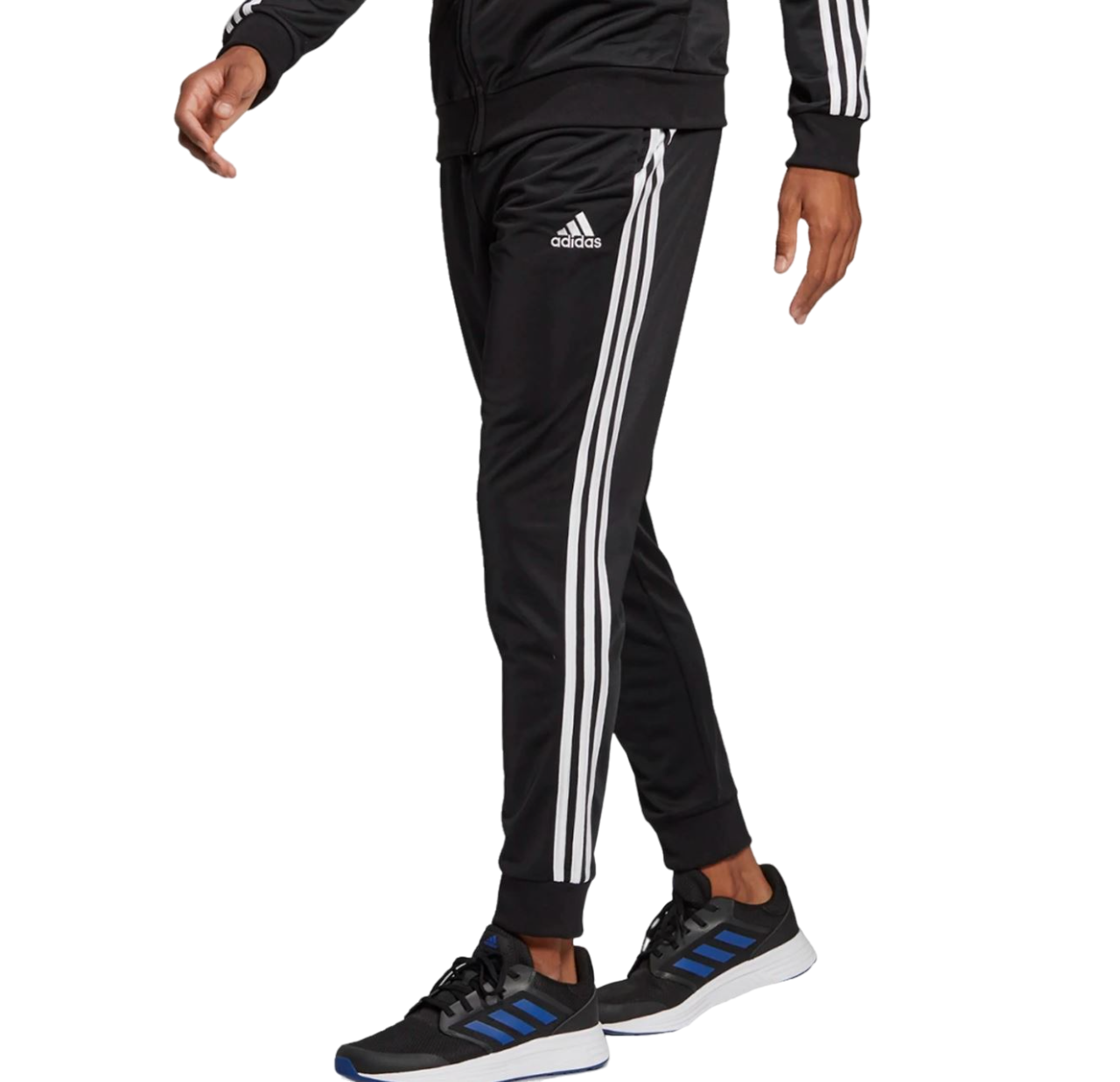 Image 7