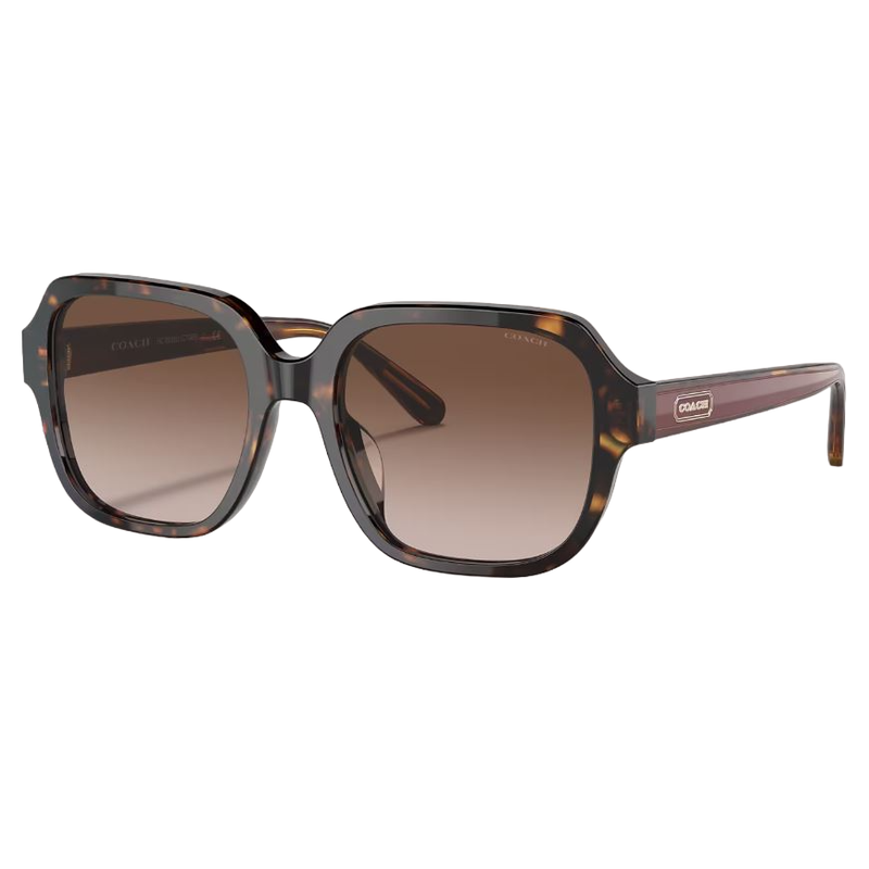 Buy Womens Coach Sunglasses Ch8335u Dark Tortoise/ Brown Sunnies - MyDeal