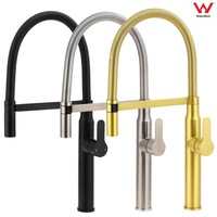 WELS Pull Out Kitchen Mixer Tap 360o Swivel Spout Round Brushed Gold Sivler Sink Faucet