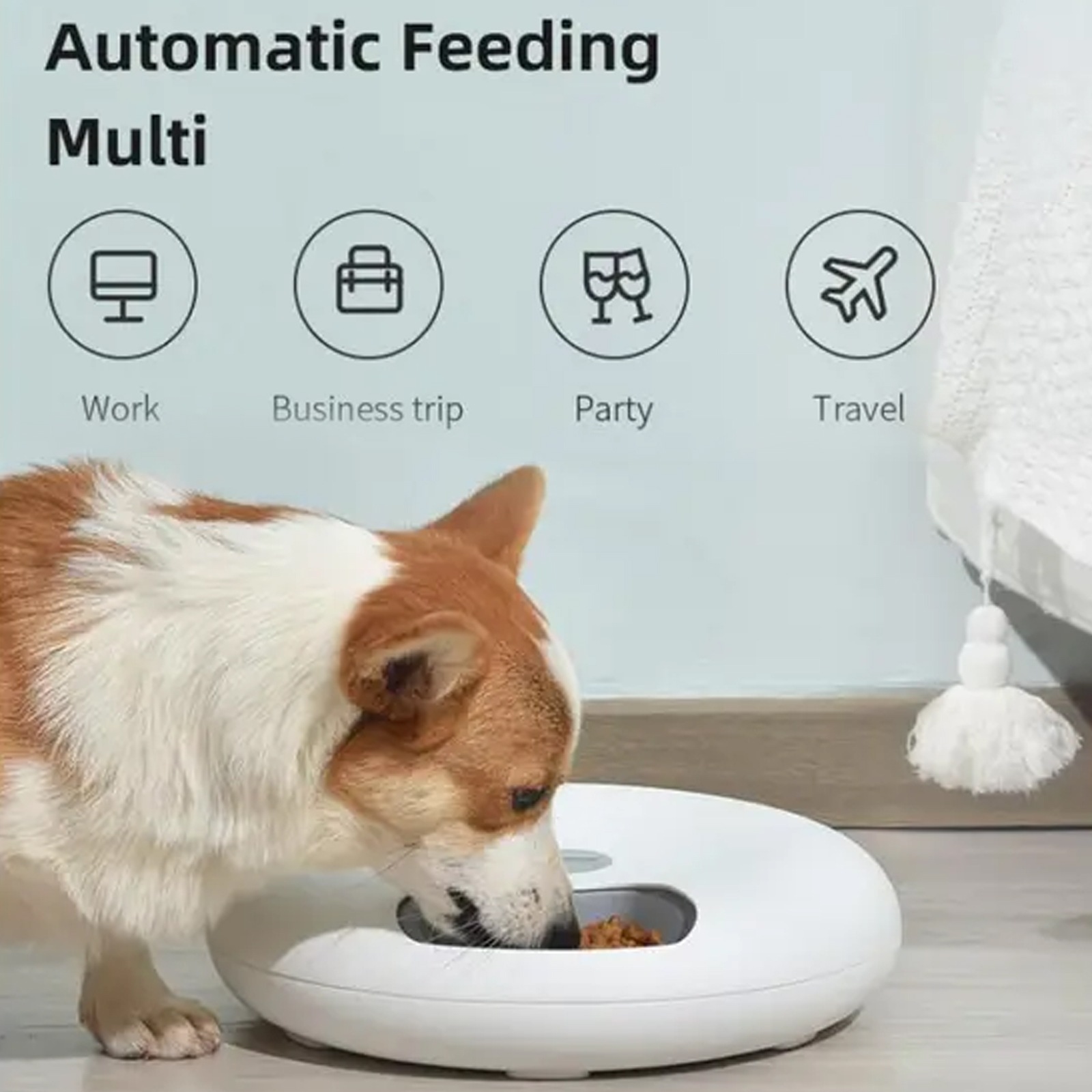 Blitz clearance dog feeder