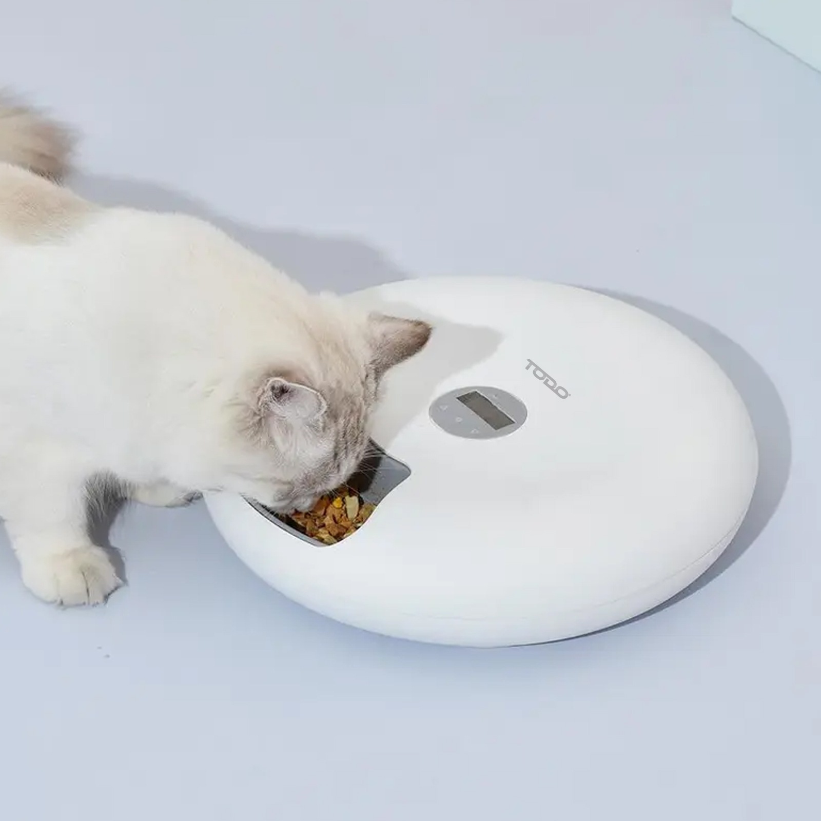 cat food dish with timer