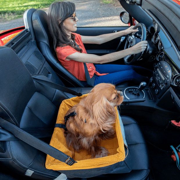 Buy Kurgo Skybox Dog Car Booster Seat for Dog Car Travel up to 13.5kg Capacity MyDeal