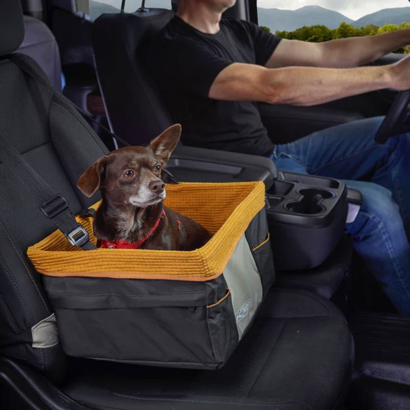Buy Kurgo Skybox Dog Car Booster Seat for Dog Car Travel up to 13.5kg