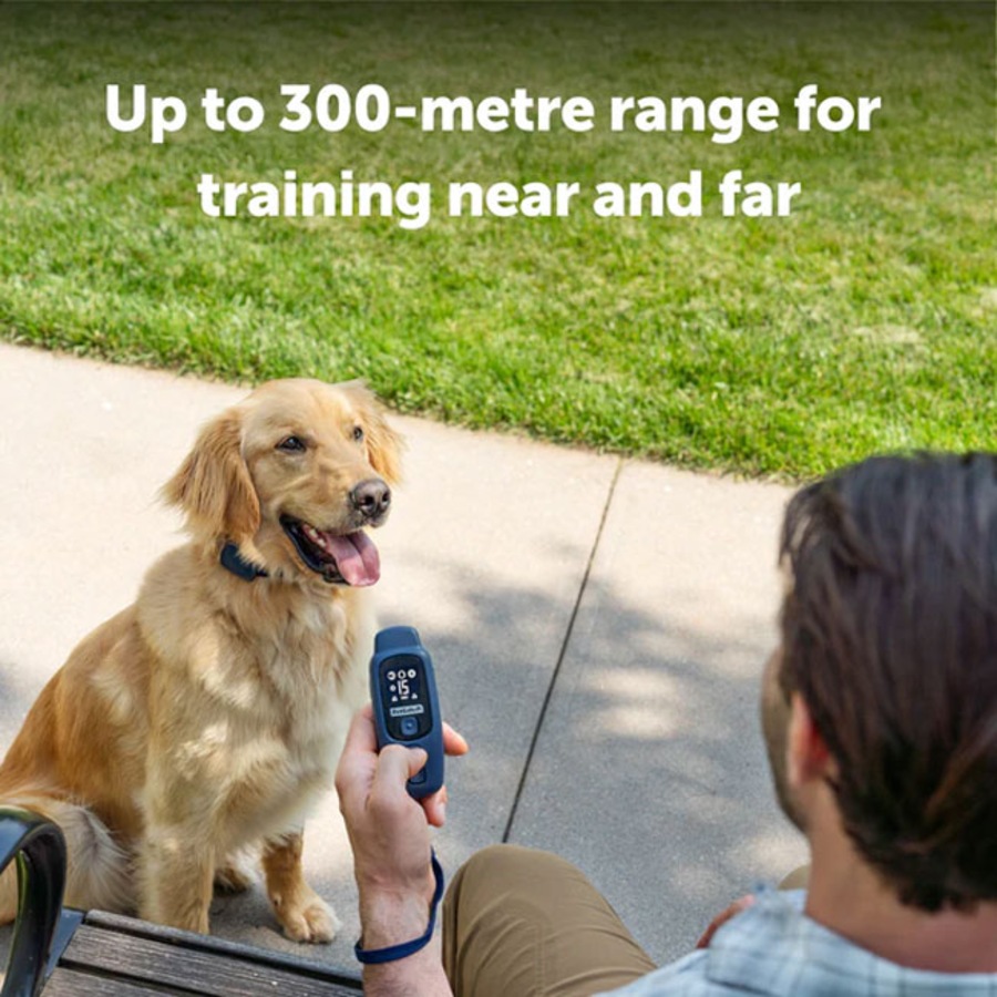 PetSafe Core Trainer Add-A-Dog Additional Collar