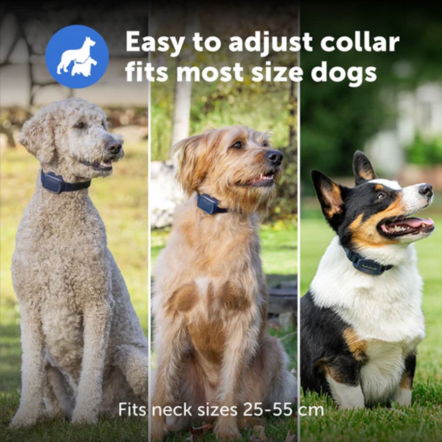 PetSafe Core Trainer Add-A-Dog Additional Collar