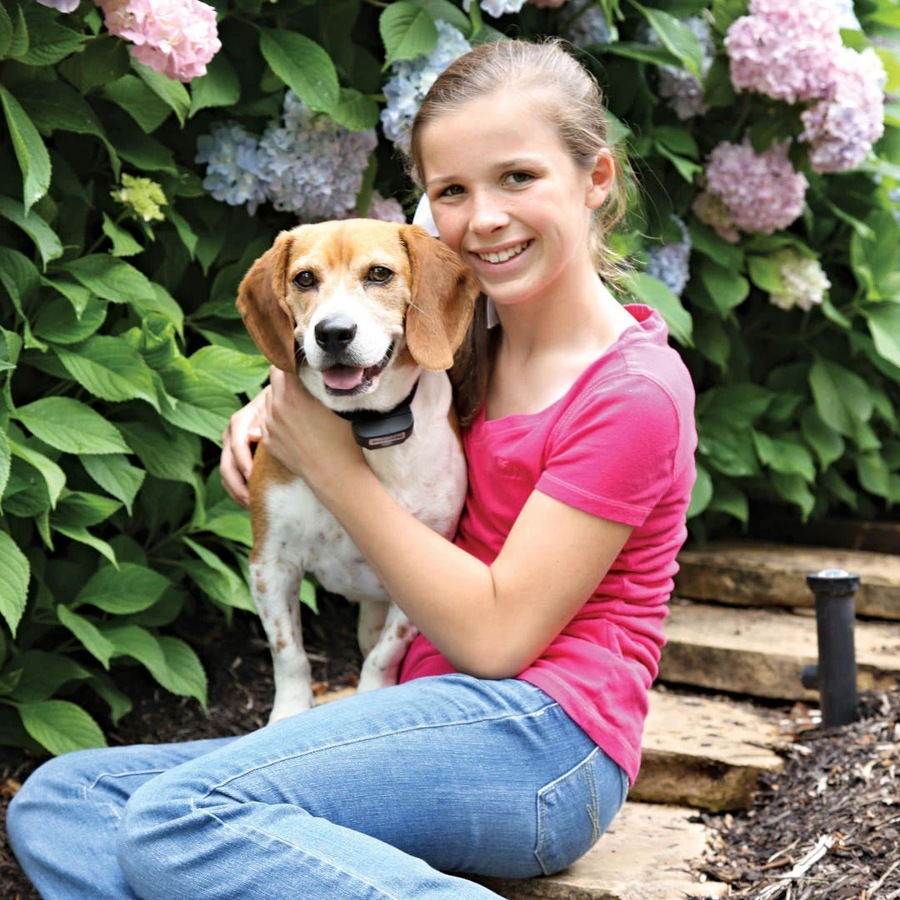 PetSafe Rechargeable In-Ground Fence Dog Containment System