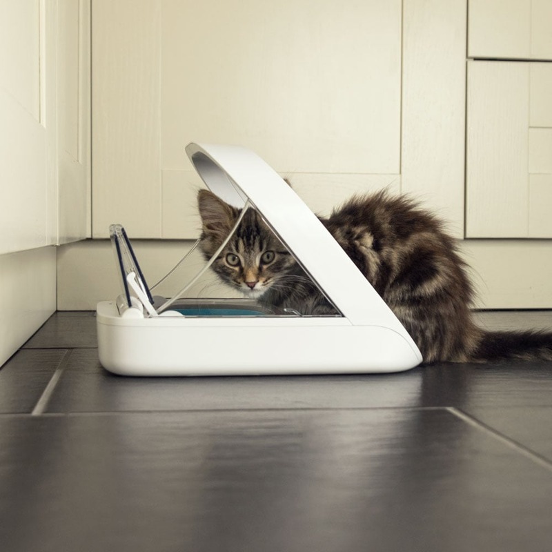 Buy Sure PetCare SureFeed Microchip Pet Feeder with 400ml Bowl Capacity