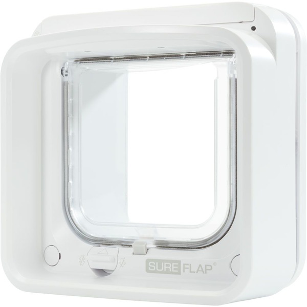 Image 4