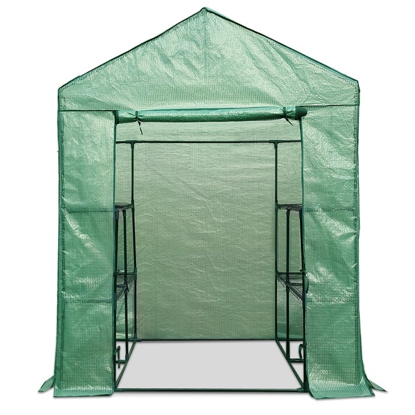Image 4