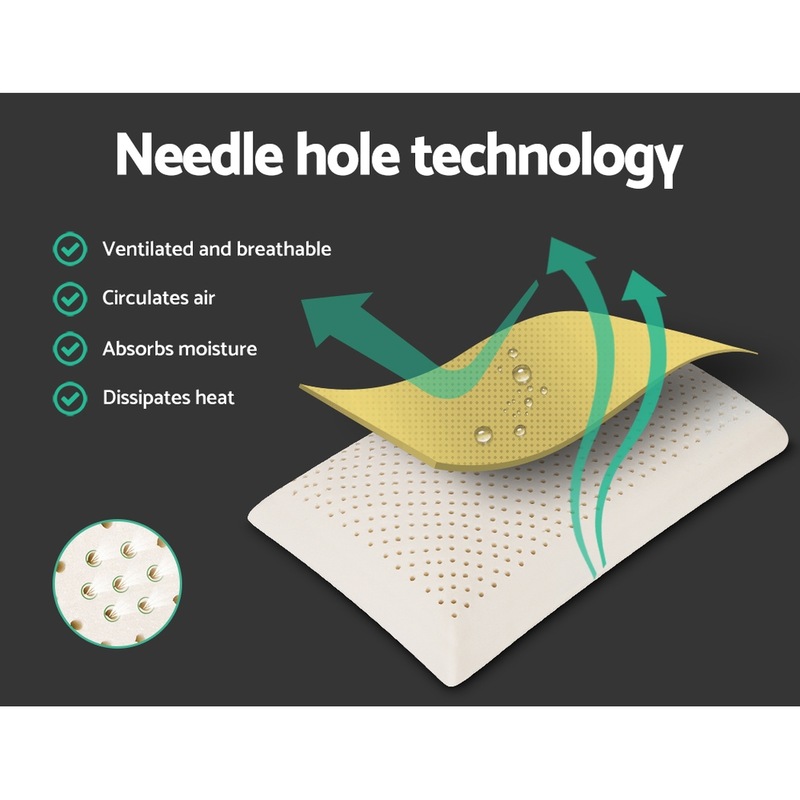 Giselle Natural Latex Pillow Talalay Contour Pillows Classic Twin Pack