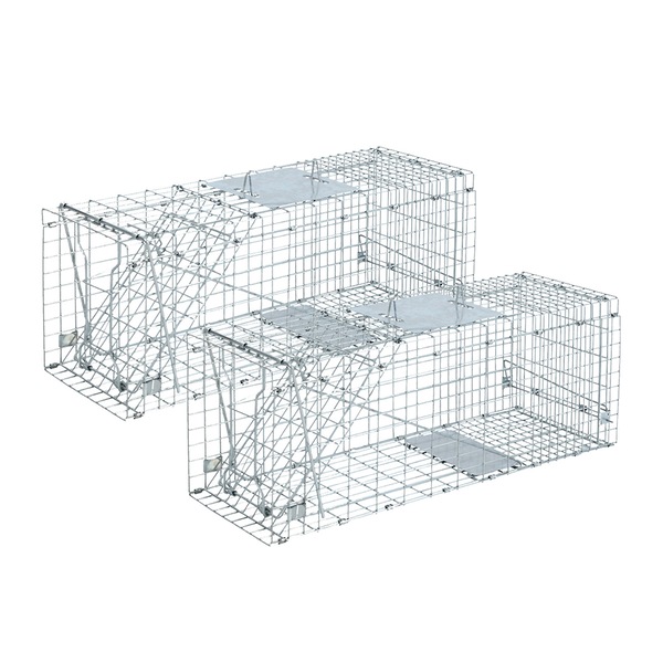 Image 2