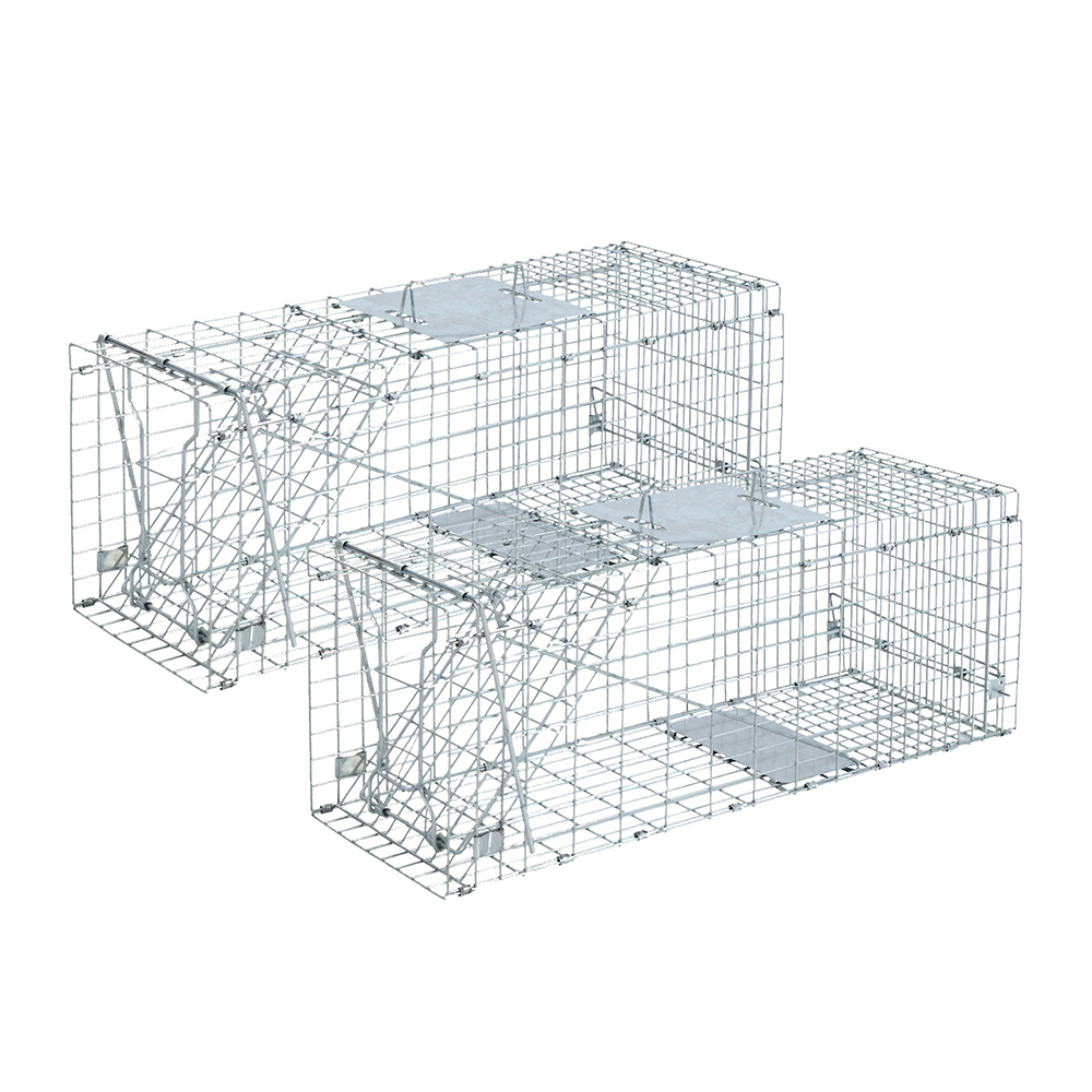 Image 2