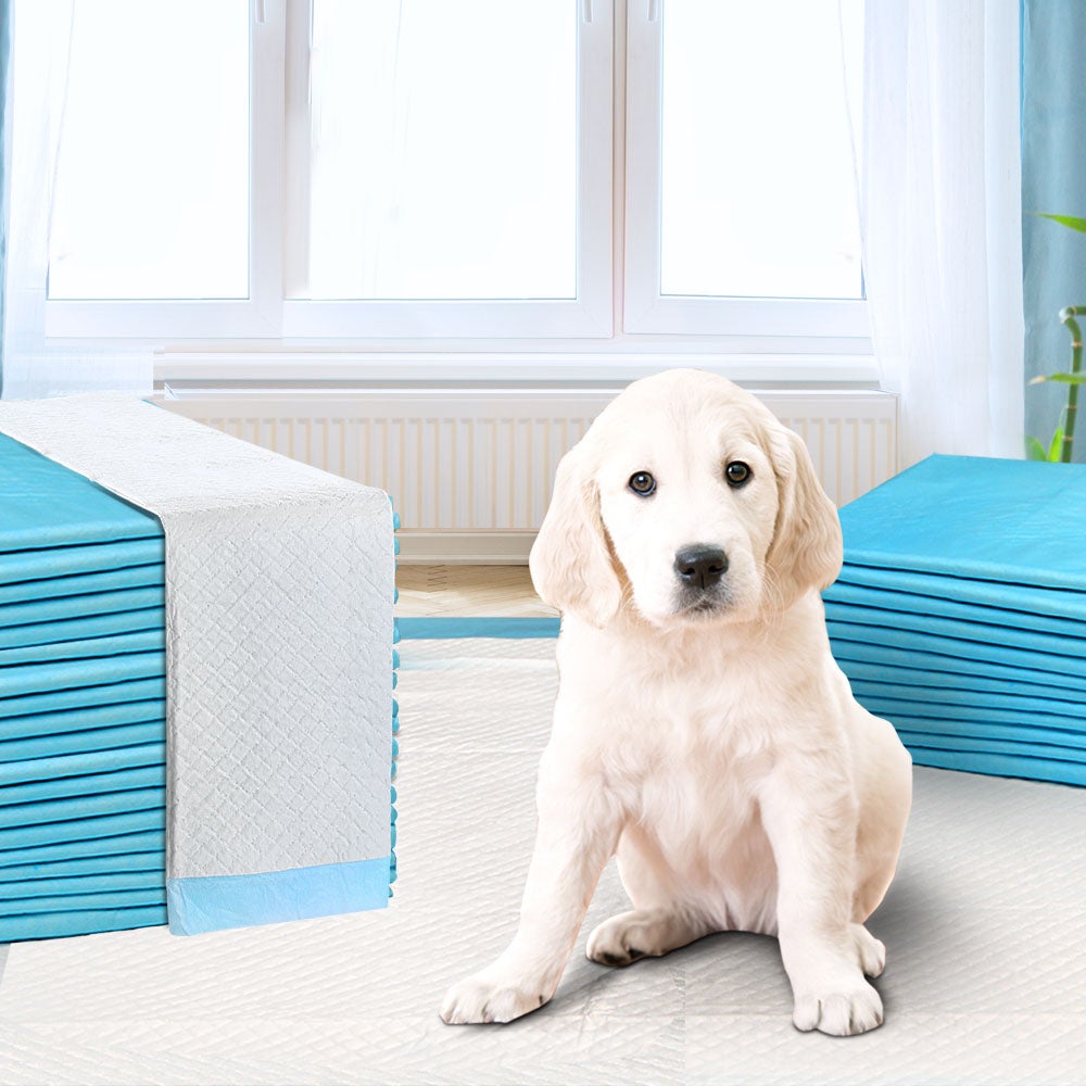i.Pet Pet Training Pads 400pcs 60x60cm Puppy Dog Toilet Pee Indoor Super Absorbent Blue