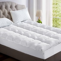 5cm Giselle Mattress Topper Pillowtop Bamboo Single