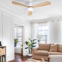 Ceiling fan Classic Royal 132cm / 52 Antique Brass with natural palm  blades, Home & Commercial Heaters, Ventilation & Ceiling Fans