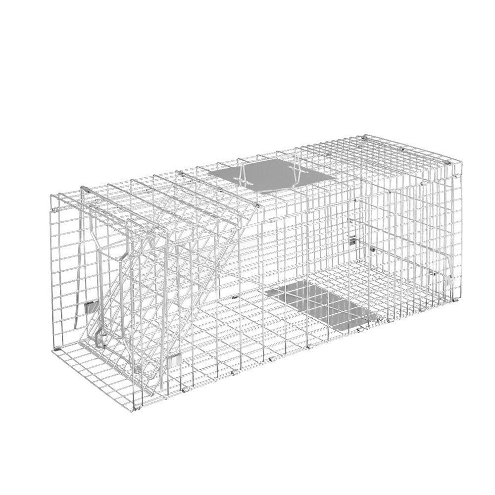 Image 2