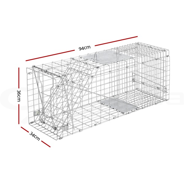 Image 8