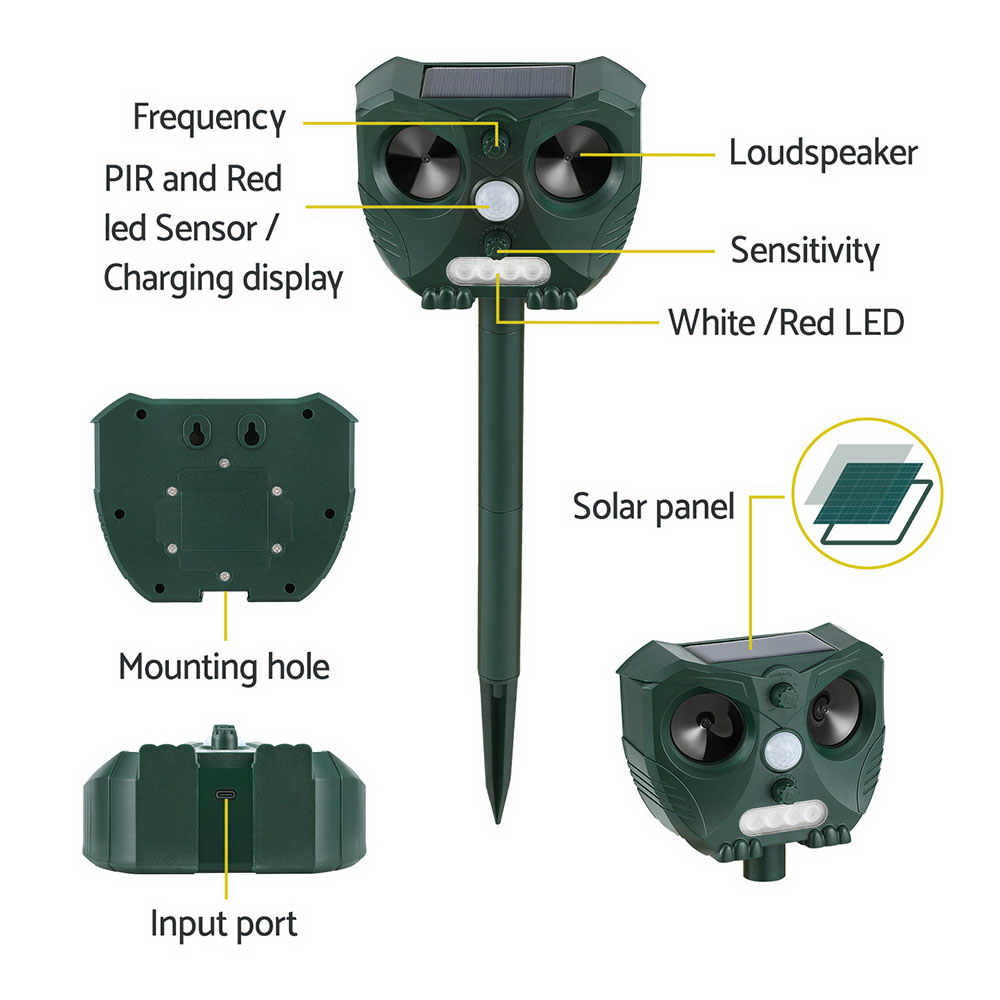 Image 5