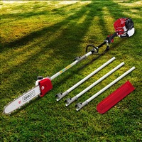 12" Bar Giantz 65CC Pole Chainsaw Chain Saw Petrol 4.3m Long Reach