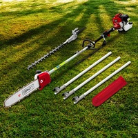 12in Bar Giantz 62CC Pole Chainsaw Hedge Trimmer Chain Saw 4.3m Long Reach