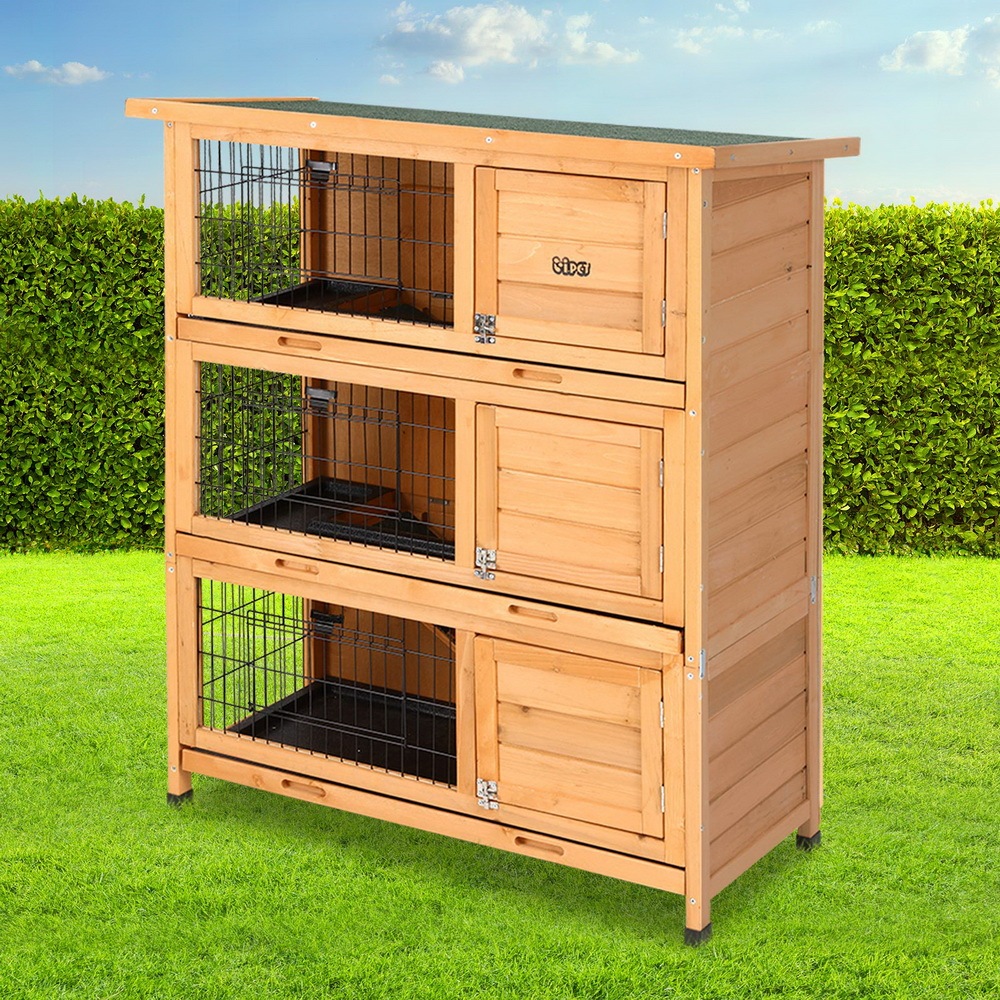 Home bargains rabbit clearance hutch