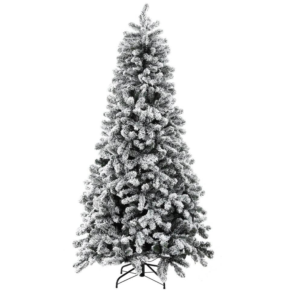 Image 4