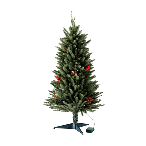 Image 4