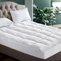 5cm Giselle Mattress Topper Pillowtop Single