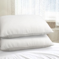 2x Giselle Pillow 19cm Thick